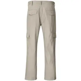 Mens Cargo Pants Stone Back